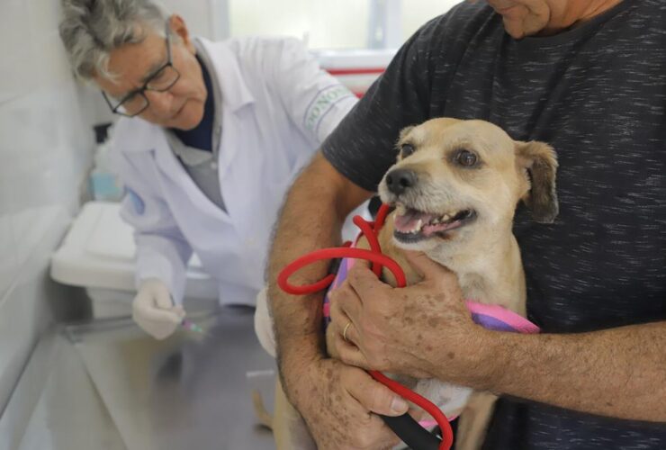 Posto fixo de vacinação contra a raiva imuniza pets em dezembro