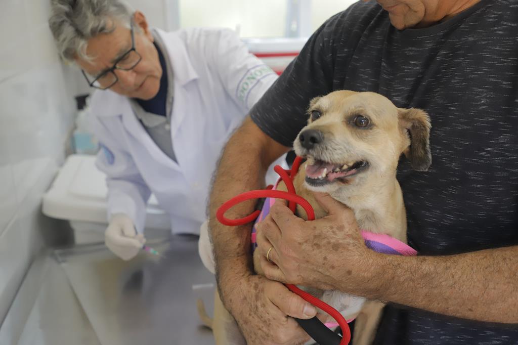 Posto fixo de vacinação contra a raiva imuniza pets em dezembro