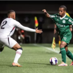 Palmeiras enfrenta Flamengo-SP na Arena pela Copa Sâo Paulo na quinta, 15/1
