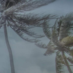 Defesa Civil do estado alerta para pancadas de chuva forte e muito vento no fim de semana