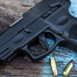 Visão Geral da Taurus G2C 9 mm