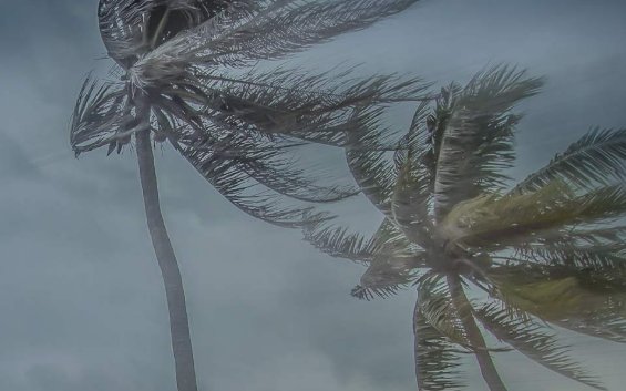 Defesa Civil do estado alerta para pancadas de chuva forte e muito vento no fim de semana