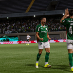 Ingressos para jogo do Palmeiras contra o Vitória na Arena estão à venda