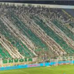 Palmeiras põe à venda ingressos para jogo contra o Guarani na Arena, no domingo