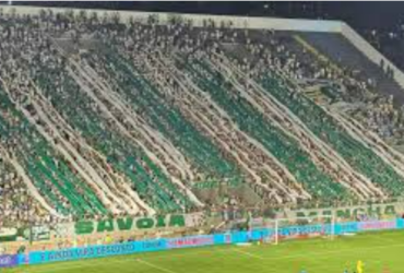 Palmeiras põe à venda ingressos para jogo contra o Guarani na Arena, no domingo