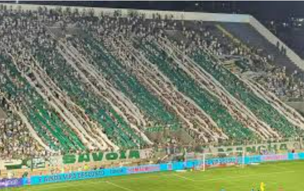 Palmeiras põe à venda ingressos para jogo contra o Guarani na Arena, no domingo