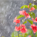Calor dá trégua a partir de terça e semana terá chuvas ocasionais até o feriadão