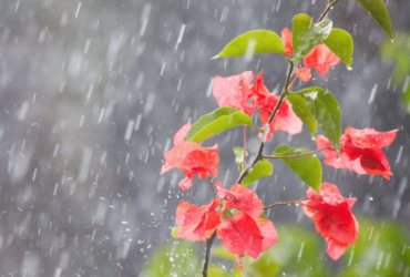 Calor dá trégua a partir de terça e semana terá chuvas ocasionais até o feriadão