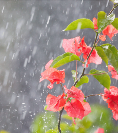 Calor dá trégua a partir de terça e semana terá chuvas ocasionais até o feriadão