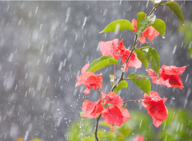 Calor dá trégua a partir de terça e semana terá chuvas ocasionais até o feriadão