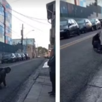 Ladrão é alvejado, chora e tenta fugir sem ser socorrido para evitar ser preso