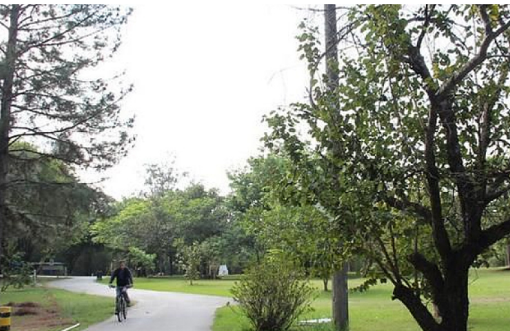 Veja quais serviços municipais atendem no feriado municipal de quarta-feira, 24/6