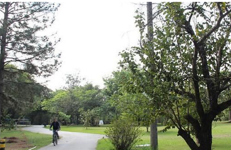 Veja quais serviços municipais atendem no feriado municipal de quarta-feira, 24/6