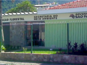 Governo do Estado abre inscrição para concurso com 70 vagas na Fundação Florestal
