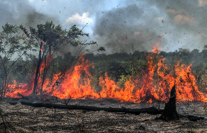 Estado inclui Barueri em programa de prevenção e combate a queimadas florestais