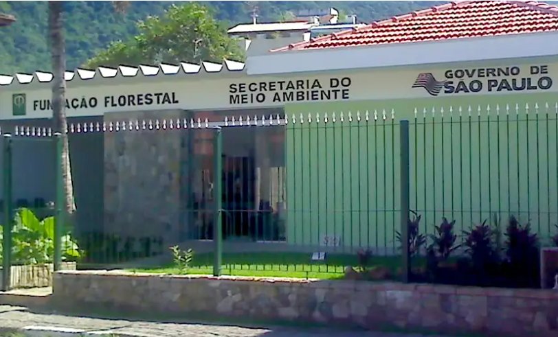 Governo do Estado abre inscrição para concurso com 70 vagas na Fundação Florestal