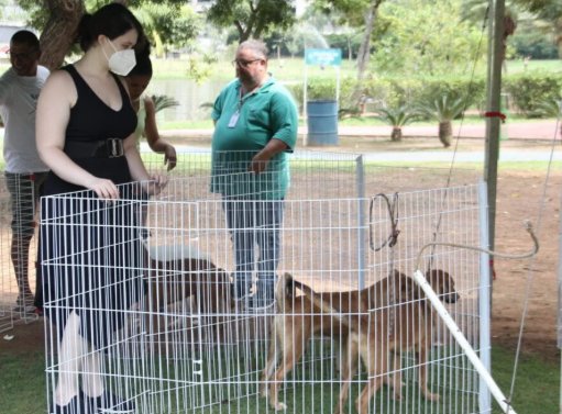 Cepad divulga calendário de feiras de adoção de pets em Barueri no mês de junho