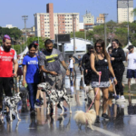Parque da Juventude recebe Cãominhada e feira de adoção no sábado, 25/7