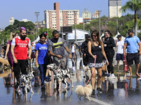 Parque da Juventude recebe Cãominhada e feira de adoção no sábado, 25/7