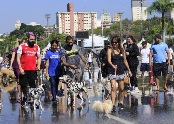 Parque da Juventude recebe Cãominhada e feira de adoção no sábado, 25/7