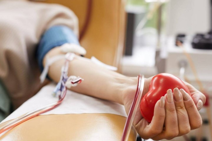Com estoque em nível crítico para 4 tipos, Fundação Pró-Sangue convoca doadores