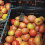 Consumidores encontram ratos entre mercadorias do Atacadão da Estrada Velha