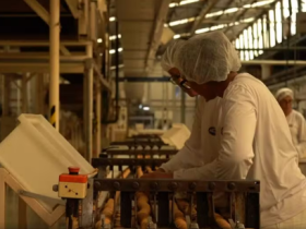 Casa do Trabalhador de Barueri divulga relação de oportunidades de emprego da semana